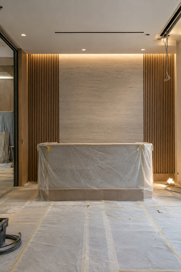 Commercial Renovation project portrait 1